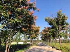 -汉长安城未央宫国家考古遗址公园