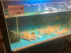 -千代武日本料理(爱建店)