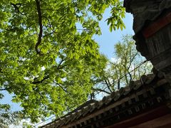 -潭柘寺景区