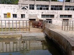 -保定市动物园