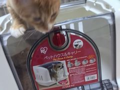 -嘉馨宠物医院·CT影像转诊·心脏科·犬猫全科诊疗中心(下沙大学城院区)