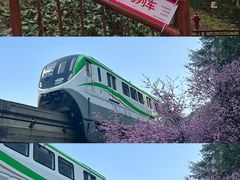 -佛图关公园
