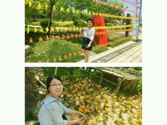 -武清南湖绿博园