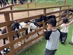 -盈香心动乐园