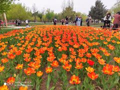 -长春公园(普阳街道)