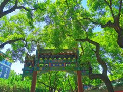 -北京国子监胡同