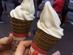 -富豪雪糕车流动点(尖沙咀店)