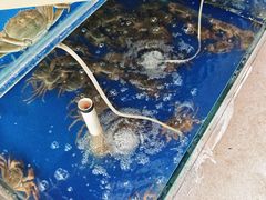 -阳澄湖大闸蟹·琼灵阁牌品牌连锁(吴中总店)