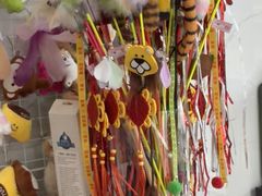 -半岛宠物医院24小时·内窥镜·牙科·碎石中心(府城大道店)