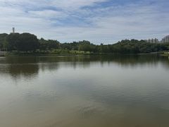 -东莞植物园