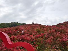 -瑞安圣井山景区