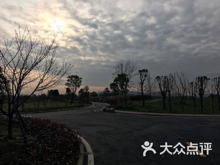 金港运动公园图片 - 第11张