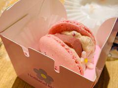 -好利来(温江合生汇店)