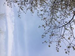 iphone_upload_pic-溱湖国家湿地公园