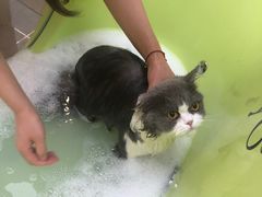 -萌兽医馆·眼科·异宠专科(三里屯店)
