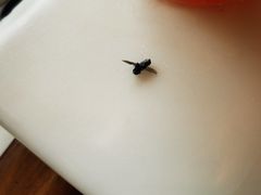 -奈雪的茶(新天地广场PRO店)