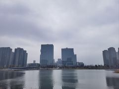 -金沙湖公园