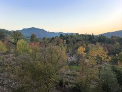 -塔川景区
