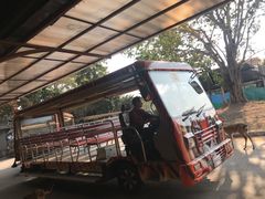 -清迈夜间动物园