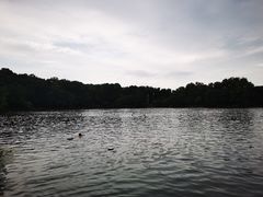 -紫霞湖公园