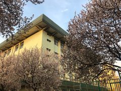 -山东师范大学(千佛山校区)
