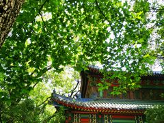 -灵谷景区