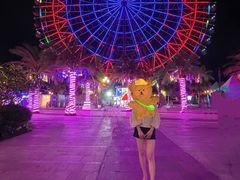 -三亚海昌梦幻海洋不夜城