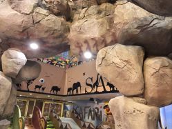 -卡通尼·Safari非洲探索乐园·生日会(金桥国际商业广场店)