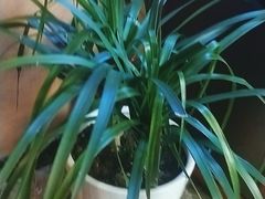 -知足堂养生会所(碑亭巷店)