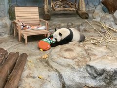 -海南热带野生动植物园