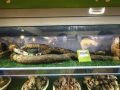 -菌海森林·非遗野生菌火锅(西山区滇池路摩根道店)
