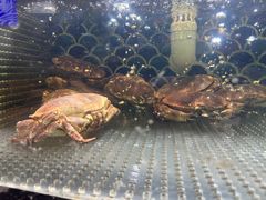 -海上食代(赣江新天地店)