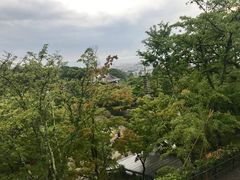 -有栖山 清光院 清水寺