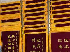 -瑞派中心宠物医院·CT·核磁·神经专科