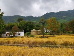 -塔川景区