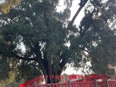 -四门塔风景区
