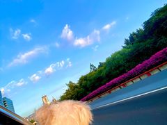 -五四北海鲜吧火锅(秀山路店)