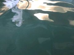 -青岛海泉湾度假区温泉