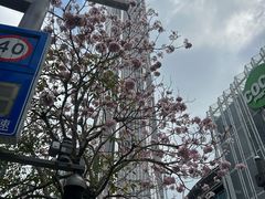 -平安金融中心云际观光层