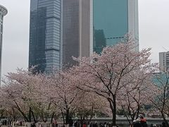 -西北湖绿化广场