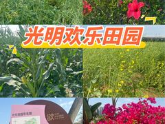 -光明小镇欢乐田园