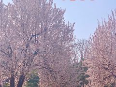 -宝鸡植物园