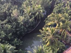 -三亚湾海居铂尔曼度假酒店