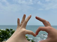 -广东惠东海龟国家级自然保护区