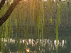 -西安汉城湖景区