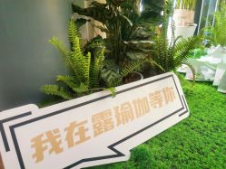 -LU YOGA（露瑜伽）专业瑜伽馆