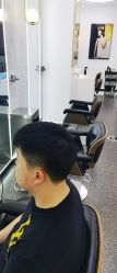 -YESIDO椰岛造型
