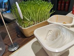 -海底捞火锅(国奥村店)