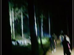 -洛阳白云山景区