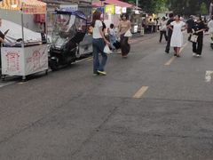 -四川农业大学(雅安校区)